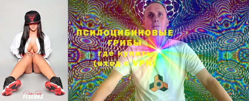 Псилоцибиновые грибы Magic Shrooms  mega сайт  Шагонар 